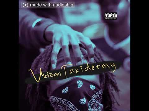 THE SWAMIII & KILIHIPPIE - Vietcon Taxidermy ft. BoiBlacc (Official Audio)