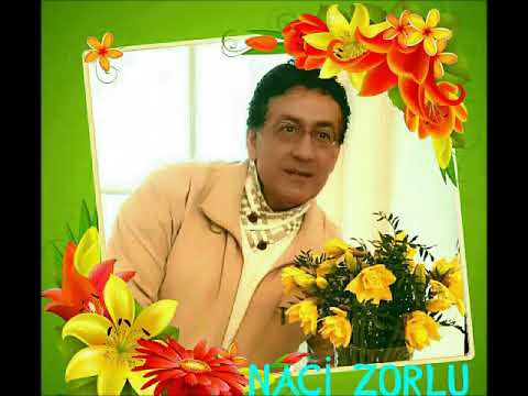 Naci Zorlu Sivasa düsse yolumuz