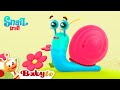 Snail Trail | Nursery Rhymes & Songs for kids | BabyTV