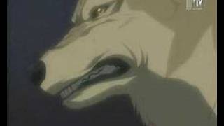 Wolf&#39;s rain voyage of wolves!