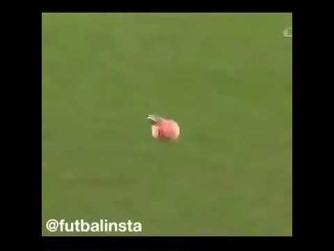 Funny moments with coaches