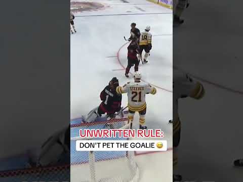 Ice hockey funny moments🤣🤣🤣#funny #hockey #hockey #hockeytiktok #nhl