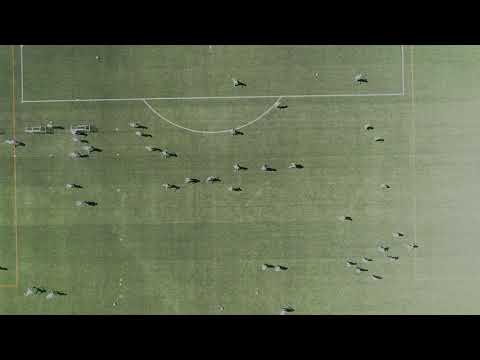 Paimion Haka – lasten ja nuorten liikuttaja vuodesta 1955