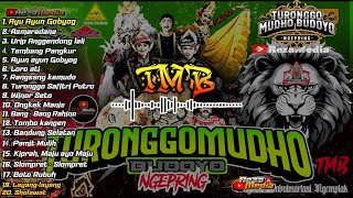 Download lagu FULL MP3 KUDA KEPANG JATHILAN TURONGGO MUDHO BUDOYO TMB NGEPRING - LANGGAM CAMPURSARI JARANAN mp3