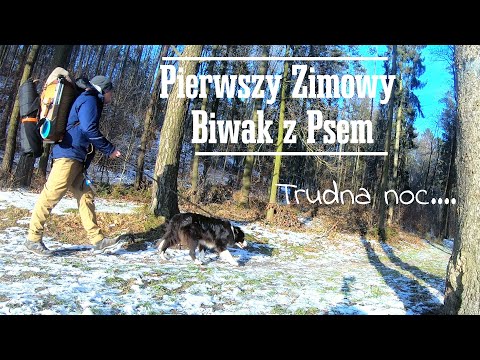 Pierwszy zimowy biwak z Psem - Trudna noc