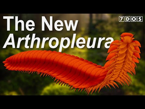 The New Look of Arthropleura - The Giant Prehistoric Millipede | 7 Days of Science