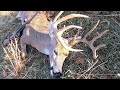 BIG MISSOURI BUCK Missouri Rifle Hunting