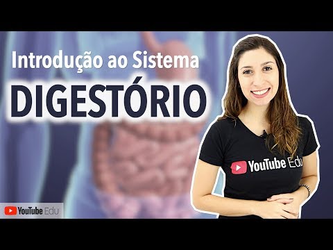 Digestive System 1/5: Introduction, Functions, Organs, and Histology | Anatomy and etc.