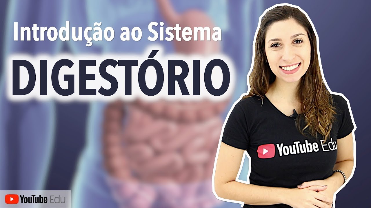 O Que é Anatomia Do Sistema Digestivo