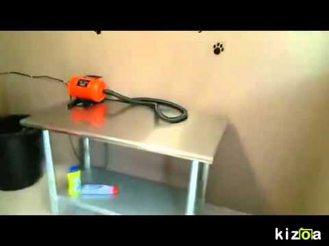 Kizoa Online Movie Maker: Central Pointe Apartments Boise Idaho