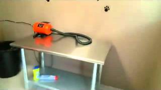 Kizoa Online Movie Maker: Central Pointe Apartments Boise Idaho
