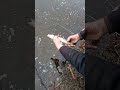 Video Thumbnail for Ultralight & Dink Bobber.