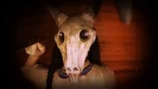 Promo - Casa del Terror 2015