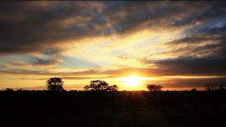 Amazing Kruger Park Sunrise Time Lapse - Royalty Free HD Stock Video Footage
