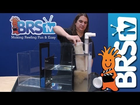 Using Filter Socks in Your Reef Tank - EP 4: Saltwater Aquarium Maintenance