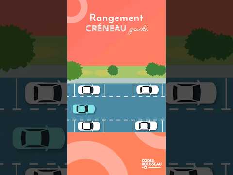 Driving license: maneuver - how to park on the left?