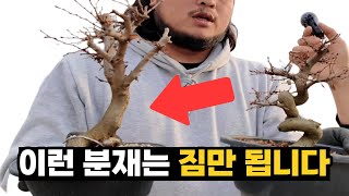 돈 되는 분재 VS 짐 되는 분재, 결정적 차이 4가지