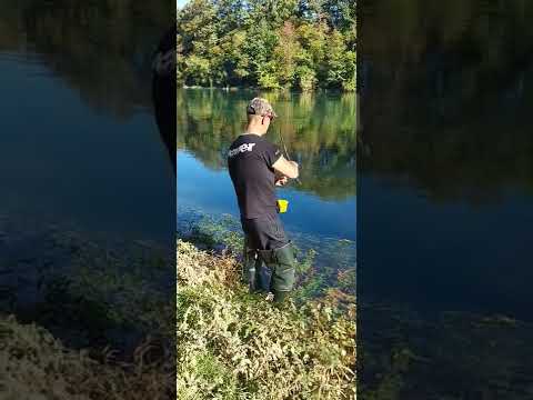 DRINA.....DR ZA SKOBALJA...OVOG PUTA PLOTICA