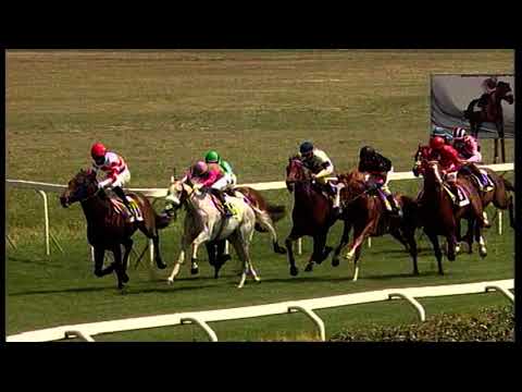 rm 20210425 02 p distantway