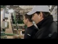Work environmentsTapis Venture inc.0