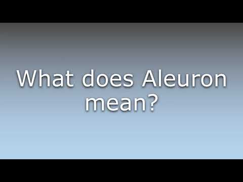 What does Aleuron mean?