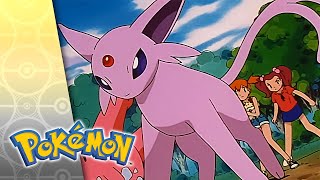 Thumbnail del capítulo