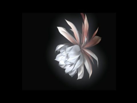 Valkyrie Profile - [Hard] 35 Chapter 5 - #2 Villnore - recruit Badrach