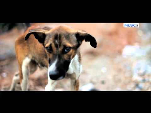 The Dog Song "Minisathkam Ko" - Shaveen n Sajith (SaSha)
