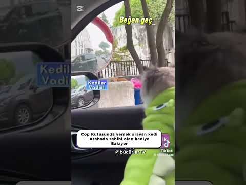 #keşfetteyiz #keşfetbeniöneçıkar #ytdayibenionecikarnolur #keşfet