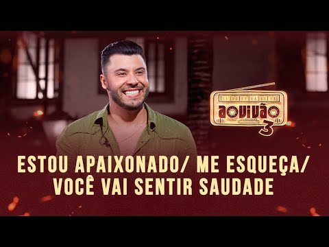 Estou Apaixonado  Me Esqueça  Você Vai Sentir Saudade - Murilo Huff