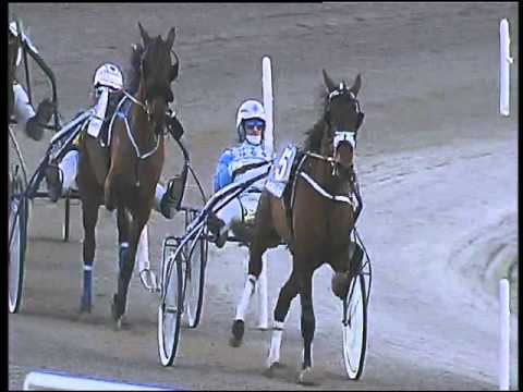 Trotto 12/01/2016 - 3° corsa