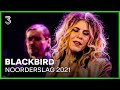 Blackbird op Noorderslag 2021 | 3FM Live Box | NPO 3FM