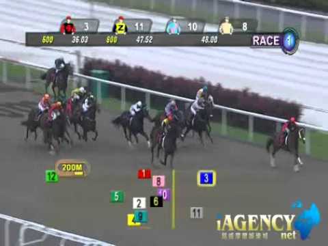 SINGAPORE RACE 13/12/2013 RACE 1 - iAgencyNet.com