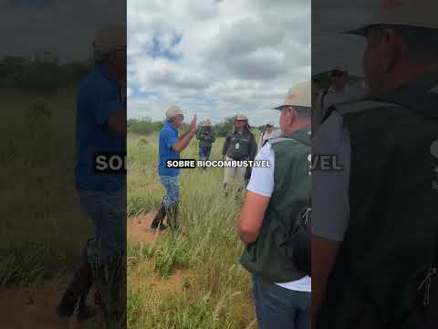 PARTE 01 | Levamos 120 mil folhas de palma para a Bahia