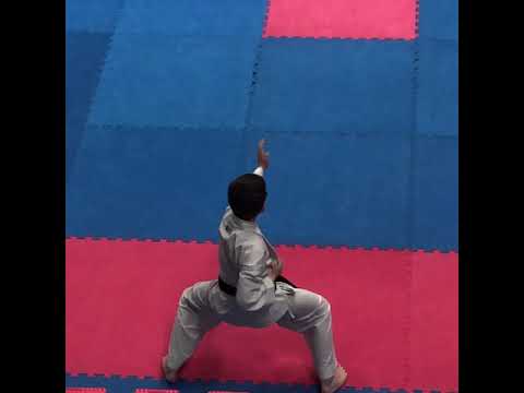 SHOTOKAN KARATE KATA EMPI JKS