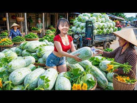 ¡COSECHA MASIVA! Toneladas de Calabazas Gigantes Directo al Mercado del Pueblo