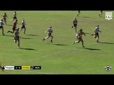 2019 Group 7 LLT Division 2 Round 3 Highlights - Berry Shoalhaven Heads vs Warilla Lake South