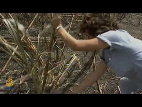 The Frost Interview - Carlos Acosta: From pauper to prince