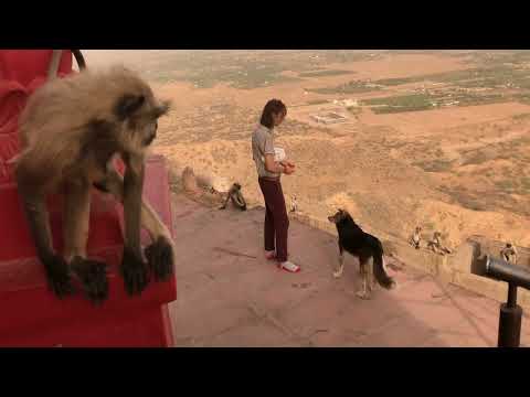 Luke Sweeney - Indian Radio Values (Official Music Video)