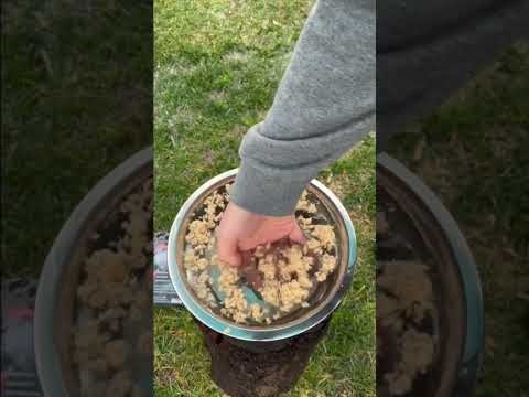 Ultimate Fire Tinder - Extreme Testing 🔥🔥🔥🔥