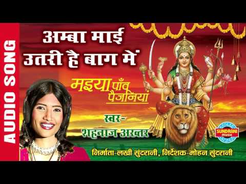 अम्बा माई उतरी है बाग में हो मां लिरिक्स