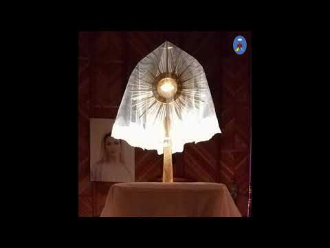 Pustelnia 03.04.2021 - Różaniec do 7 Boleści