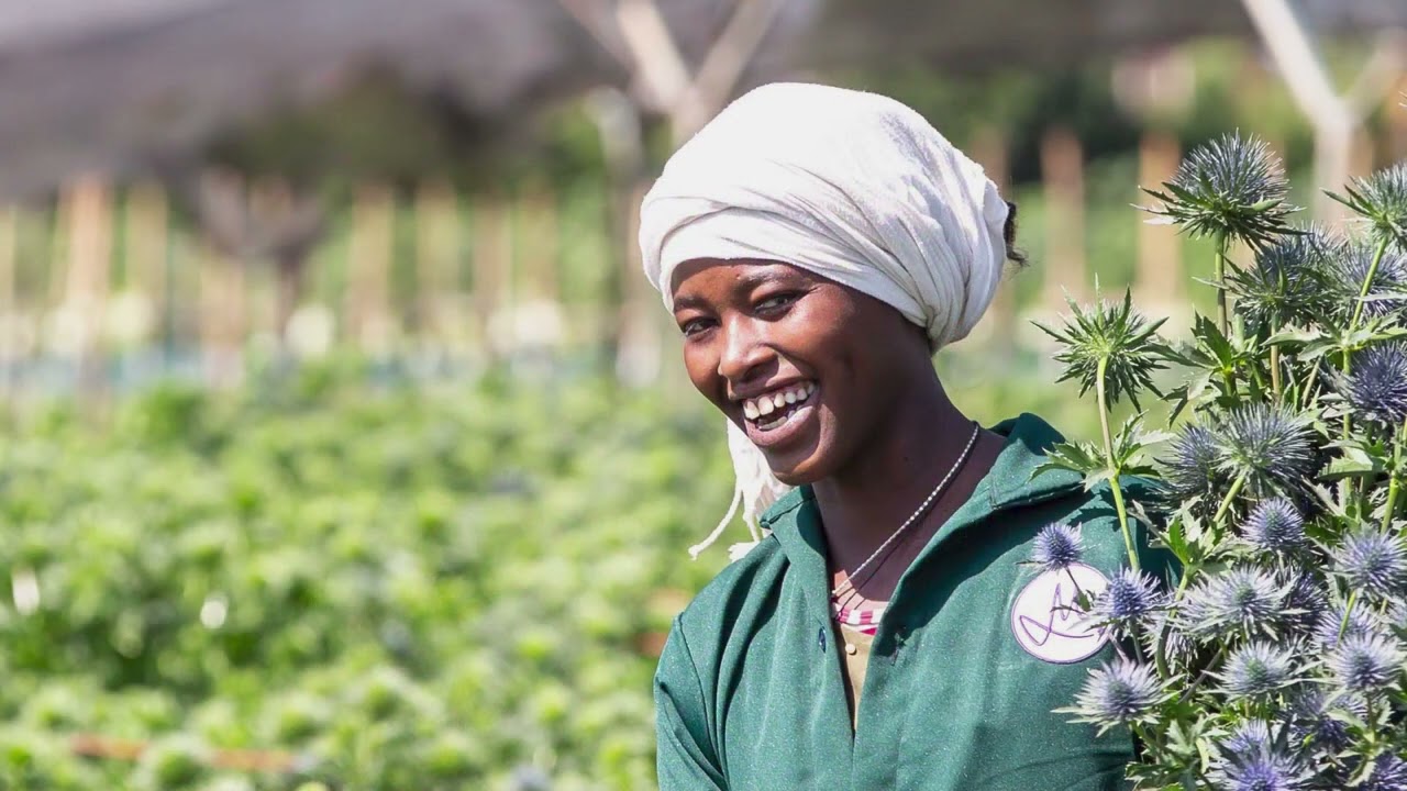 Wafex Tradeshow Video