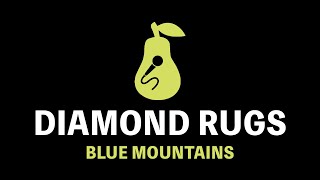 Diamond Rugs - Blue Mountains (Karaoke)