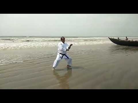 Tenshinkan karatedo