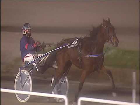 Trotto 26/11/2019 - 7ª corsa