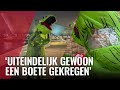 Amsterdammer laat dino uit tijdens avondklok