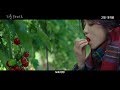 Little Forest - Trailer 2