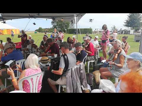 Näktergalspolkett - MoPF 2019