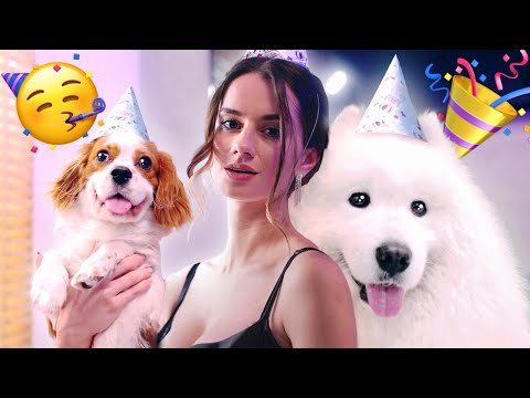 WHAT DOGS SAY: at the PARTY